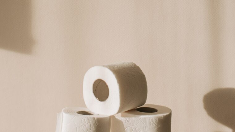 Toilet Roll Facts